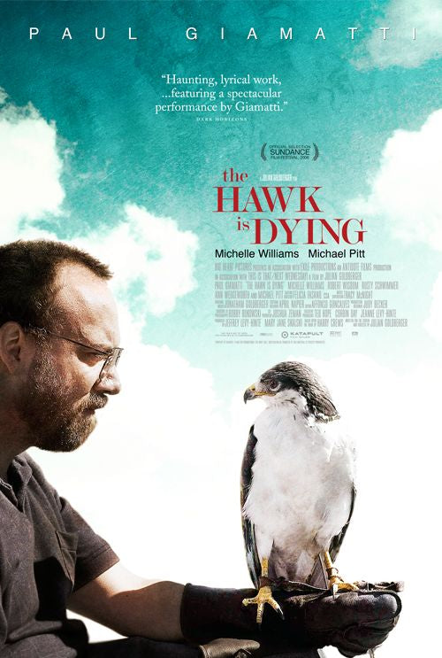 the movie poster: The Hawk Is Dying (2007)