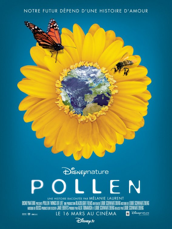 1000 piece jigsaw puzzle for the movie poster: Hidden Beauty: A Love Story That Feeds the Earth (2011)