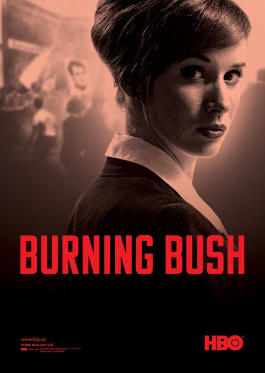 1000 piece jigsaw puzzle for tv poster: Burning Bush, ver2