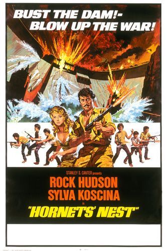 the movie poster: Hornets' Nest (1970)