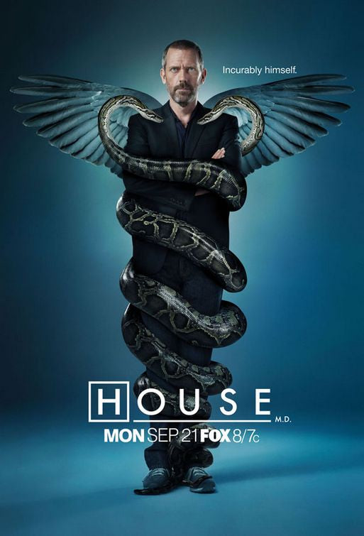 1000 piece jigsaw puzzle for tv poster: House, M.D., ver8