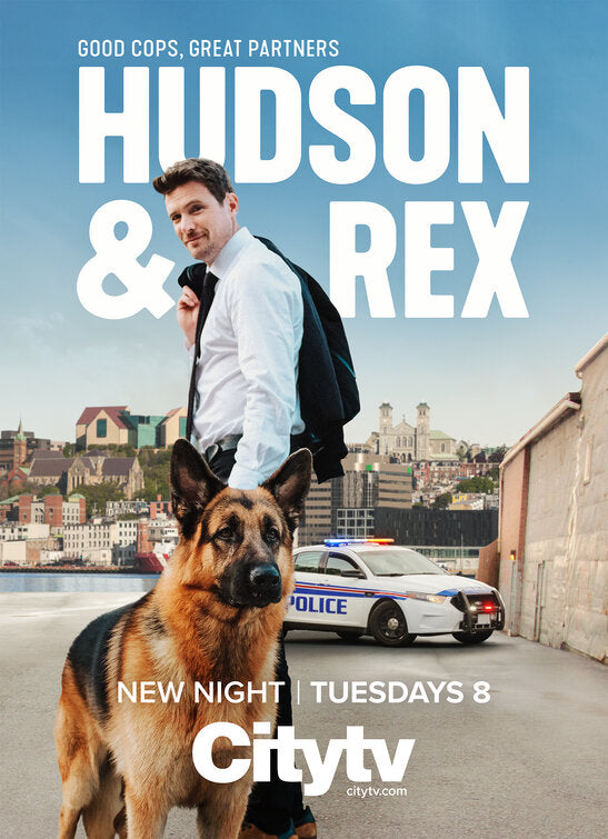 1000 piece jigsaw puzzle for tv poster: Hudson & Rex