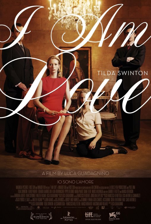 1000 piece jigsaw puzzle for the movie poster: I Am Love (2010)
