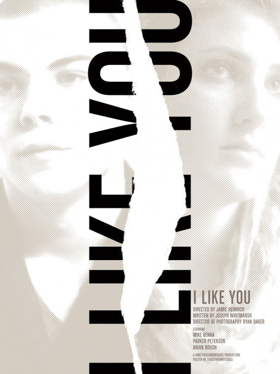 1000 piece jigsaw puzzle for the movie poster: I Like You (2010)