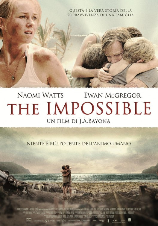 1000 piece jigsaw puzzle for the movie poster: The Impossible (2012) ver11