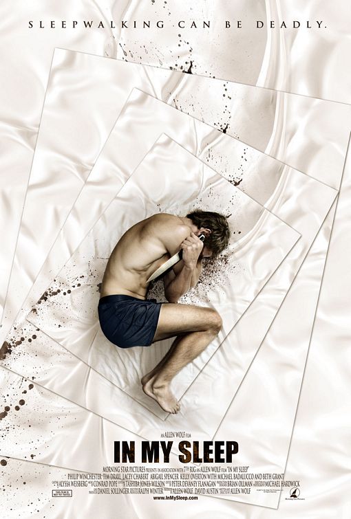 the movie poster: In My Sleep (2010)