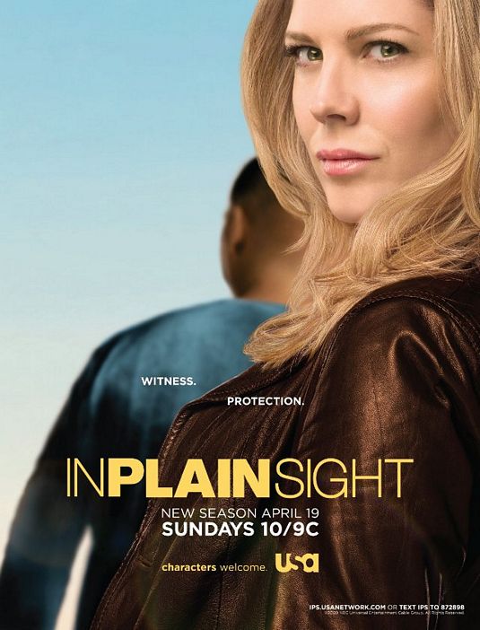 1000 piece jigsaw puzzle for tv poster: In Plain Sight