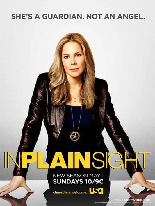 1000 piece jigsaw puzzle for tv poster: In Plain Sight, ver3