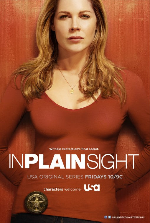 1000 piece jigsaw puzzle for tv poster: In Plain Sight, ver4