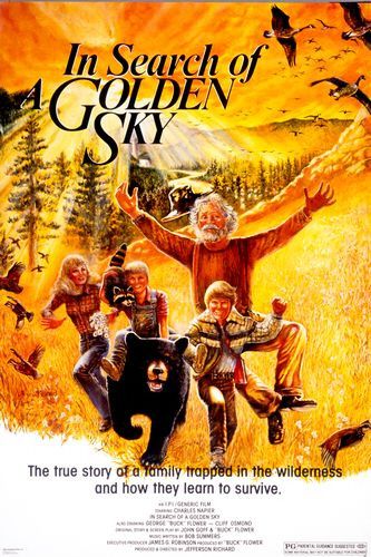 the movie poster: In Search of a Golden Sky (1984)