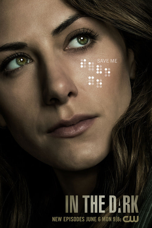 1000 piece jigsaw puzzle for tv poster: In the Dark, ver11
