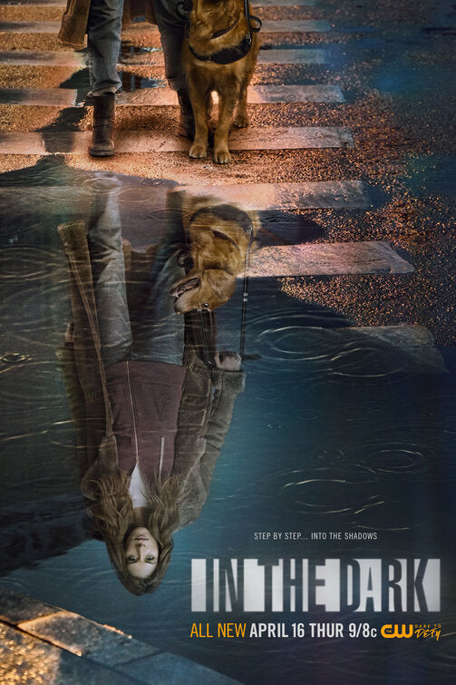 1000 piece jigsaw puzzle for tv poster: In the Dark, ver2
