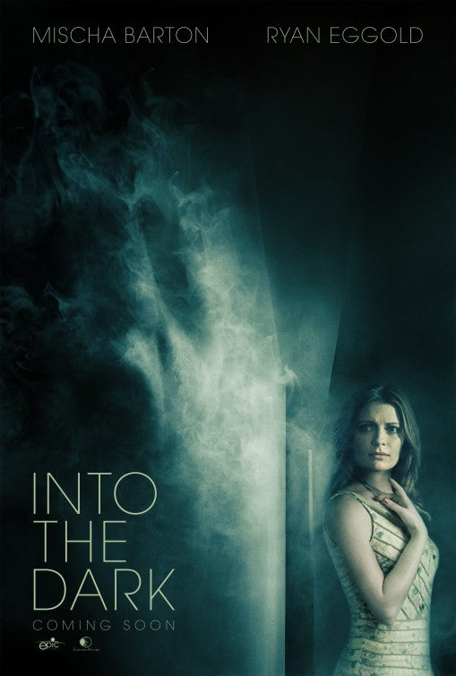 1000 piece jigsaw puzzle for the movie poster: Into the Dark (2013)