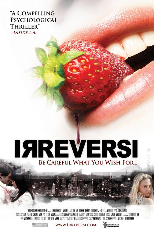 1000 piece jigsaw puzzle for the movie poster: Irreversi (2010)