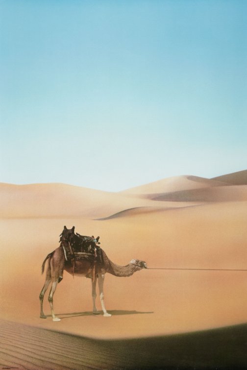 1000 piece jigsaw puzzle for the movie poster: Ishtar (1987) ver1