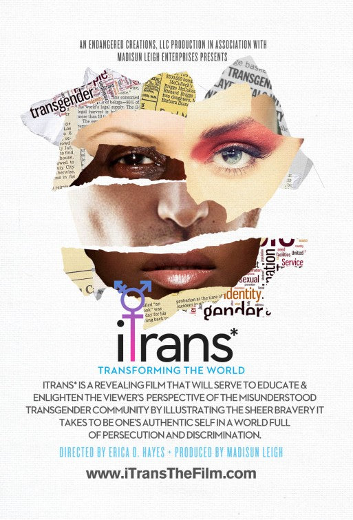 1000 piece jigsaw puzzle for the movie poster: iTrans* (2014)