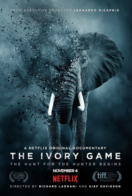 1000 piece jigsaw puzzle for tv poster: The Ivory Game