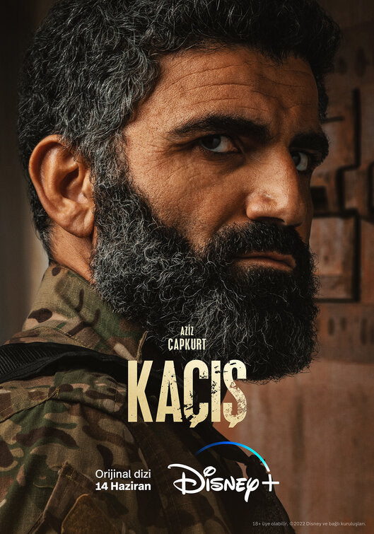 1000 piece jigsaw puzzle for tv poster: Ka?is, ver11