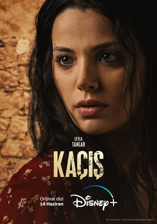 1000 piece jigsaw puzzle for tv poster: Ka?is, ver12