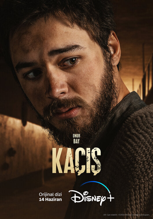1000 piece jigsaw puzzle for tv poster: Ka?is, ver8
