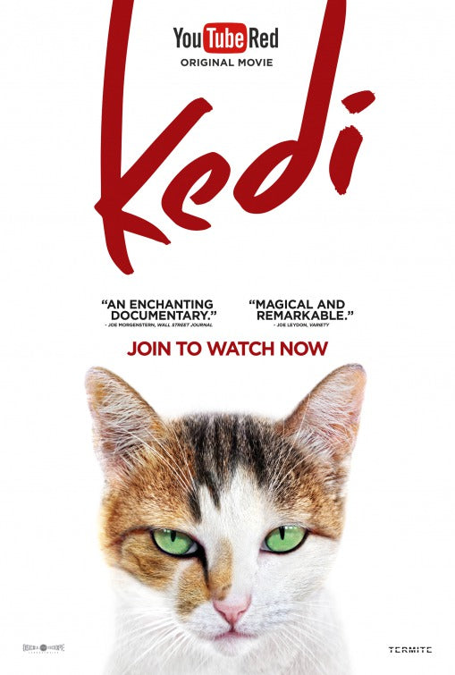 1000 piece jigsaw puzzle for the movie poster: Kedi (2017) ver4