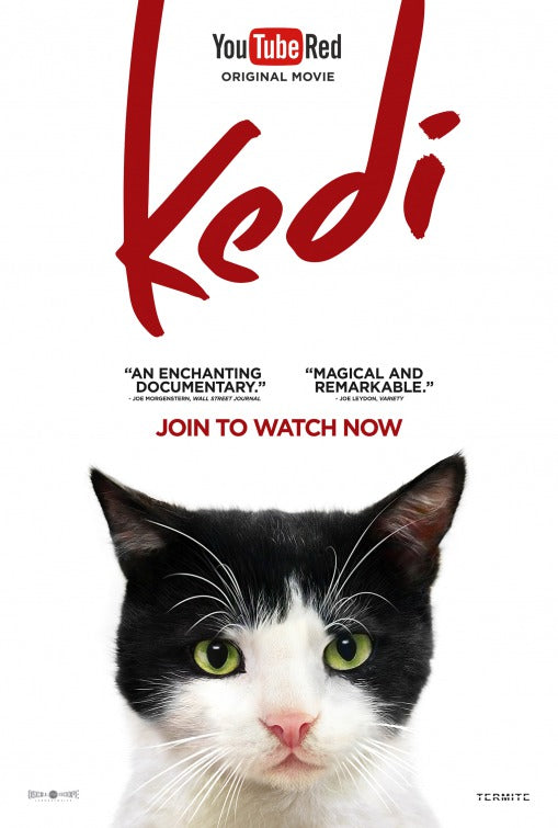 1000 piece jigsaw puzzle for the movie poster: Kedi (2017) ver8