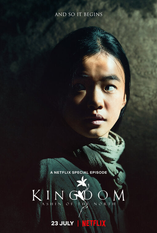 1000 piece jigsaw puzzle for tv poster: Kingdom: Ashin of the North, ver3