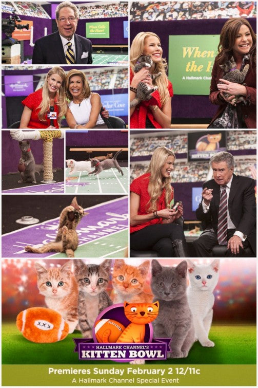1000 piece jigsaw puzzle for tv poster: Kitten Bowl