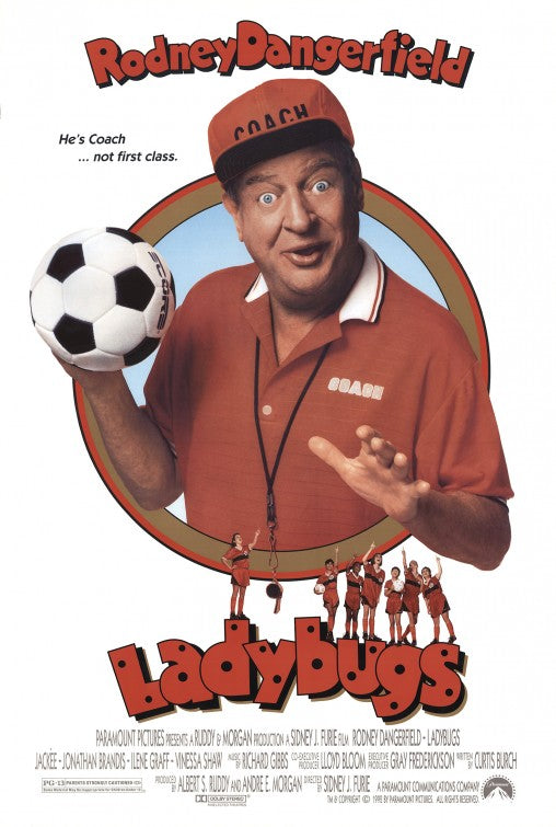 the movie poster: Ladybugs (1992)