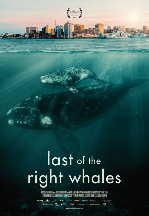 1000 piece jigsaw puzzle for the movie poster: Last of the Right Whales (2022)