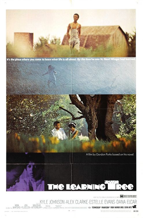 the movie poster: The Learning Tree (1969)