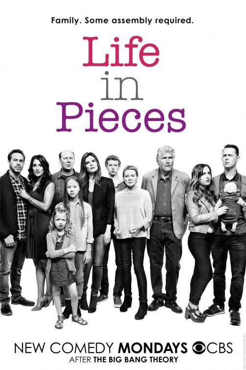 1000 piece jigsaw puzzle for tv poster: Life in Pieces