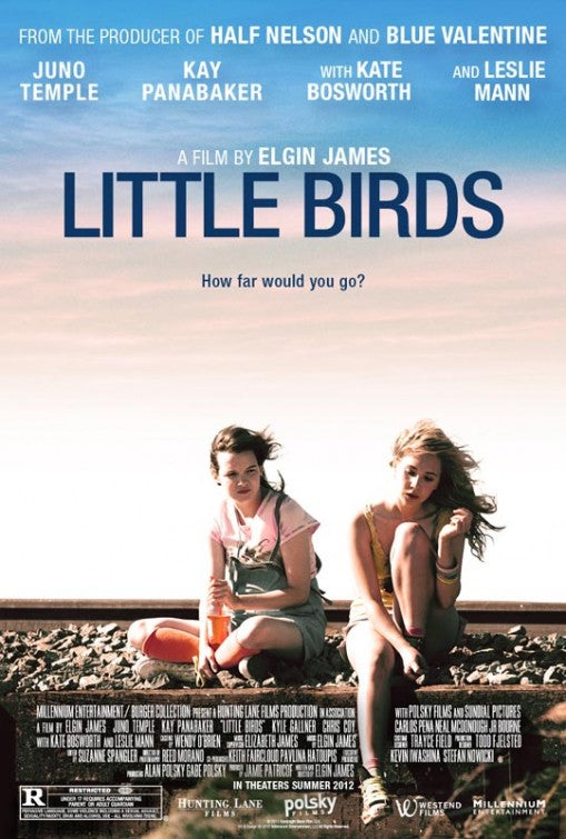 1000 piece jigsaw puzzle for the movie poster: Little Birds (2012)