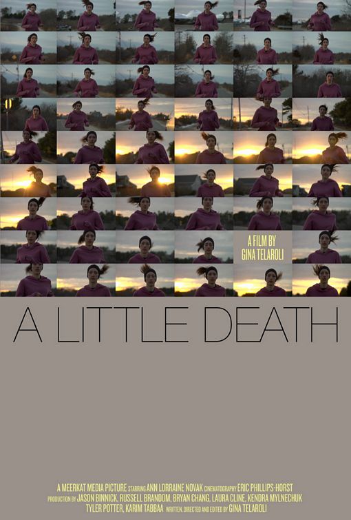 1000 piece jigsaw puzzle for the movie poster: A Little Death (2010)