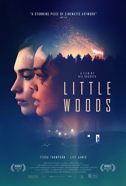 1000 piece jigsaw puzzle for the movie poster: Little Woods (2019)