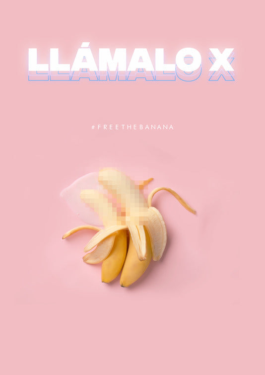 1000 piece jigsaw puzzle for tv poster: Llamalo X