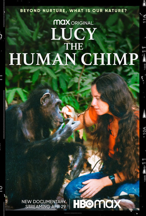 1000 piece jigsaw puzzle for tv poster: Lucy the Human Chimp