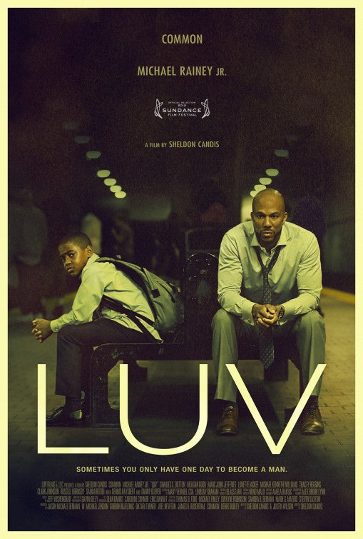 1000 piece jigsaw puzzle for the movie poster: LUV (2013)