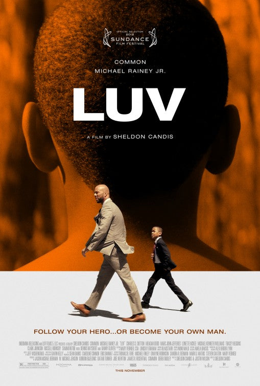 1000 piece jigsaw puzzle for the movie poster: LUV (2013) ver2