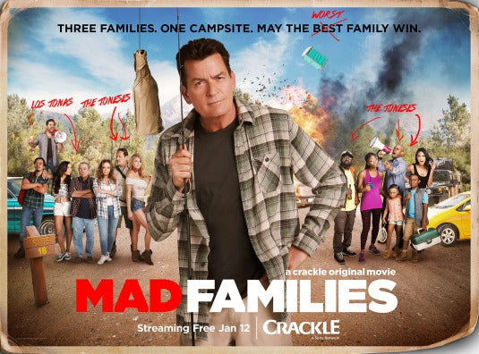 1000 piece jigsaw puzzle for tv poster: Mad Families