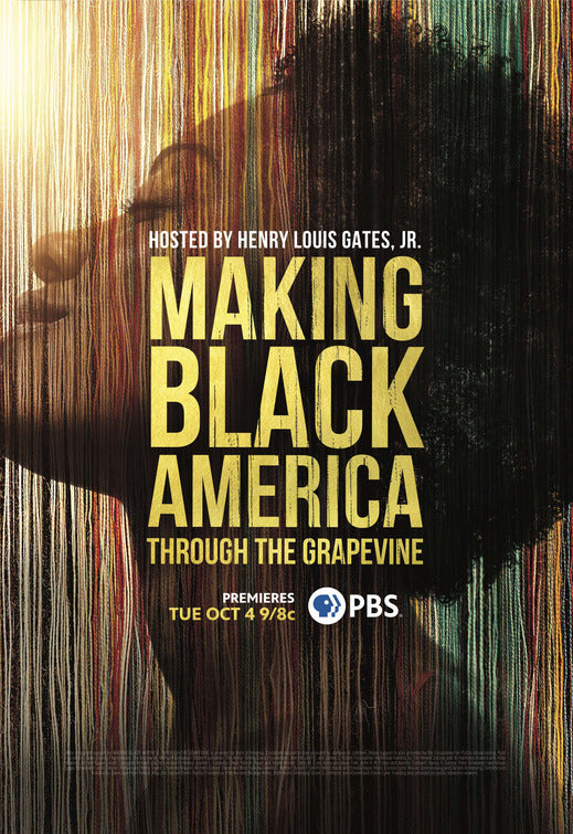 1000 piece jigsaw puzzle for tv poster: Making Black America: Through the Grapevine