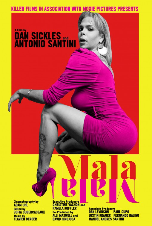 1000 piece jigsaw puzzle for the movie poster: Mala Mala (2015)