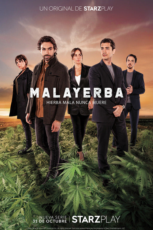 1000 piece jigsaw puzzle for tv poster: MalaYerba