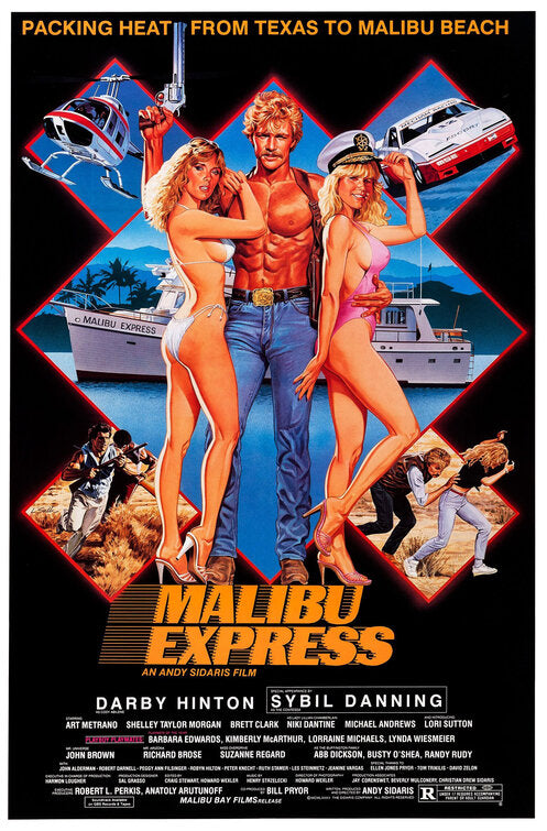 1000 piece jigsaw puzzle for the movie poster: Malibu Express (1985)