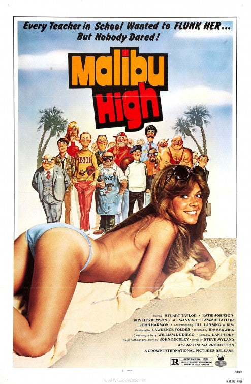 1000 piece jigsaw puzzle for the movie poster: Malibu High (1979)