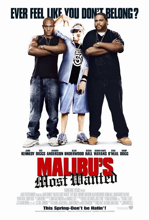 the movie poster: Malibu's Most Wanted (2003)