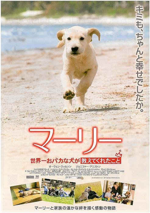 1000 piece jigsaw puzzle for the movie poster: Marley & Me (2008) ver7