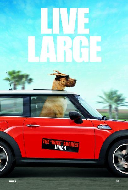1000 piece jigsaw puzzle for the movie poster: Marmaduke (2010)