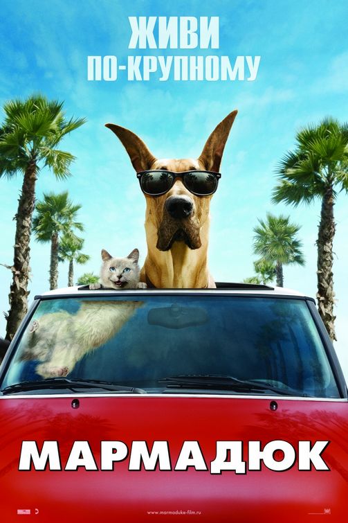 1000 piece jigsaw puzzle for the movie poster: Marmaduke (2010) ver4