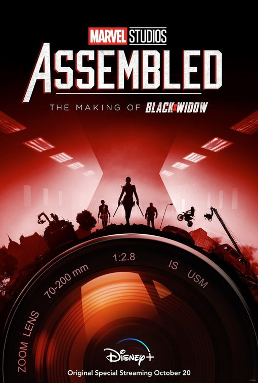 1000 piece jigsaw puzzle for tv poster: Marvel Studios: Assembled, ver4